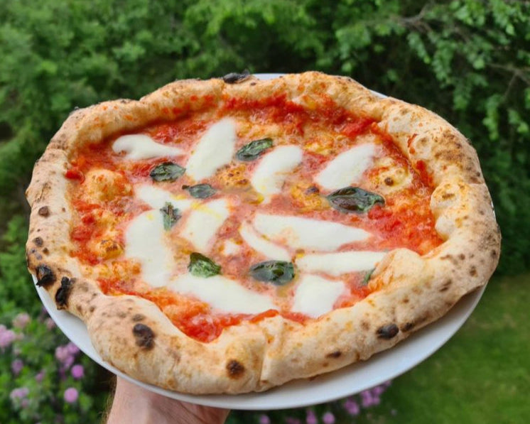 Hand Holding Margherita Pizza on Outdoor Green Lawn – Fresh Baked Neapolitan Style