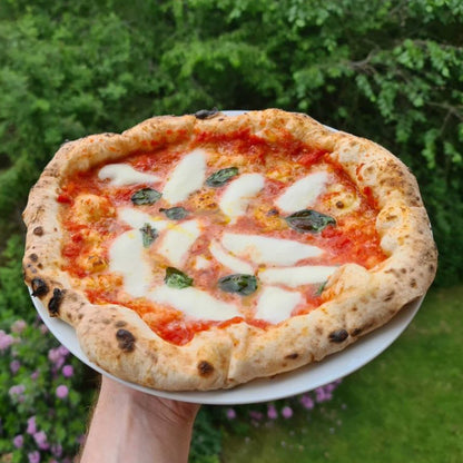 SizzleDelite Firo 14 Gas Powered Pizza Oven