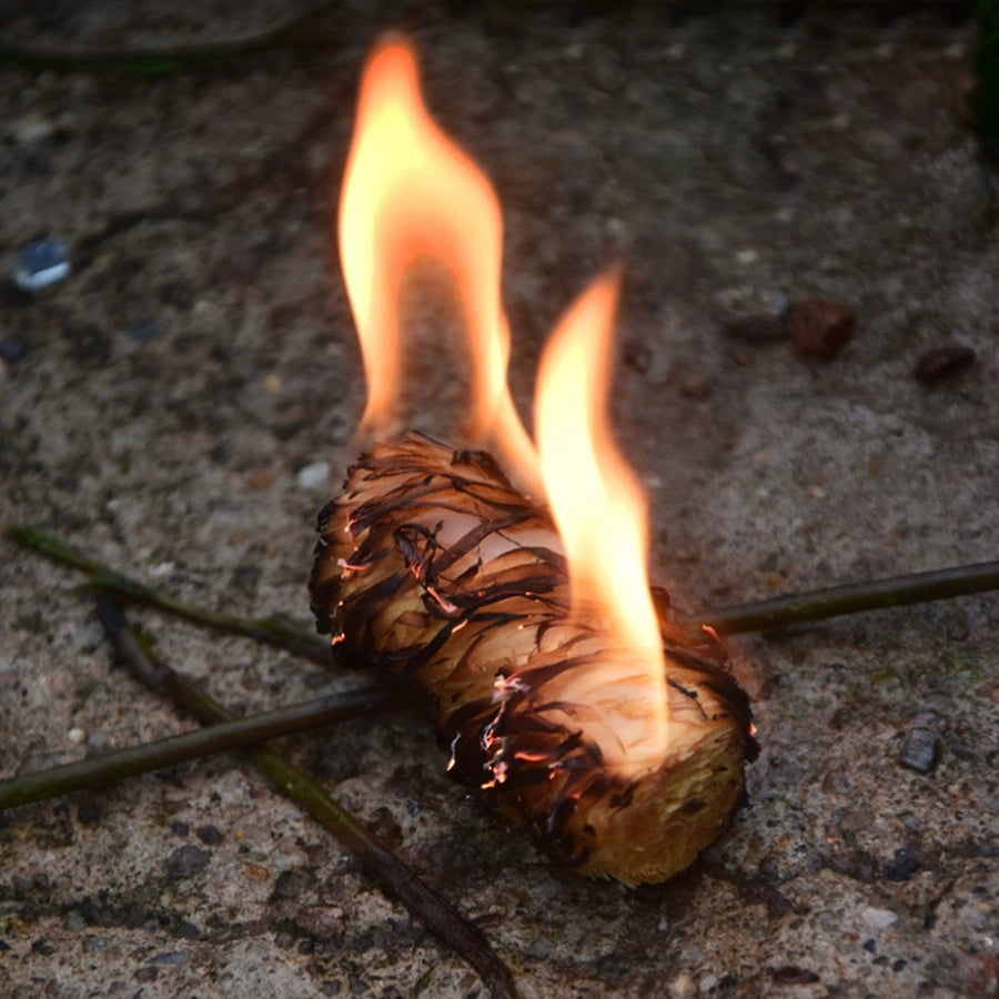 Premium Natural Fire Starters - 10 PSC