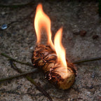 Premium Natural Fire Starters - 10 PSC