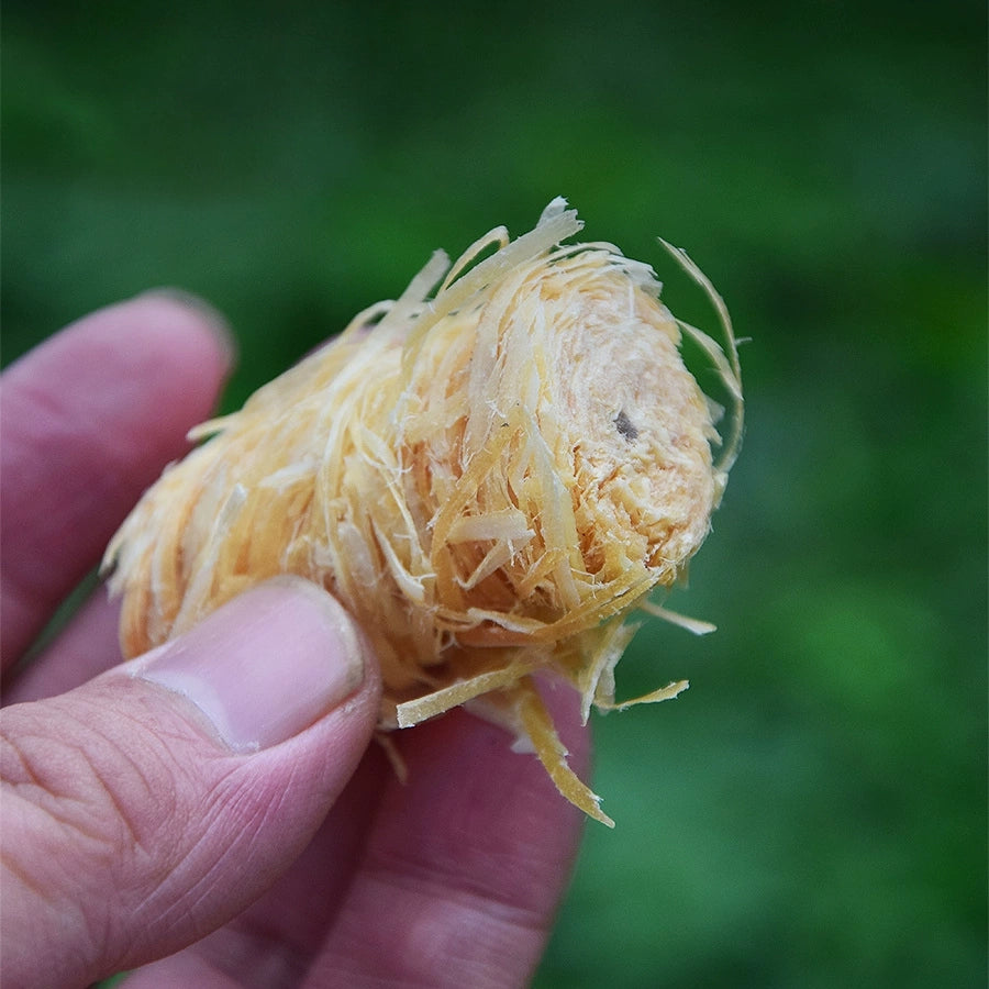 Premium Natural Fire Starters - 10 PSC